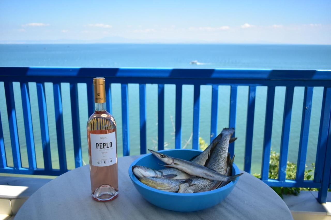 Navy Greece Villa With Swimming Pool & Sea View Makrygialos Dış mekan fotoğraf